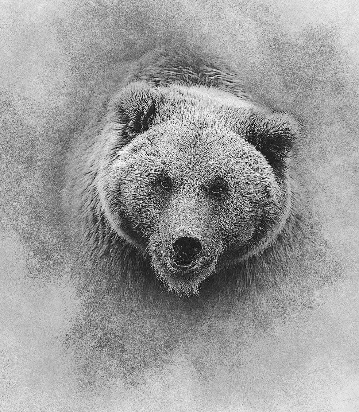 20 Enchanting Photoshop Add-Ons Bundle - Photoboto