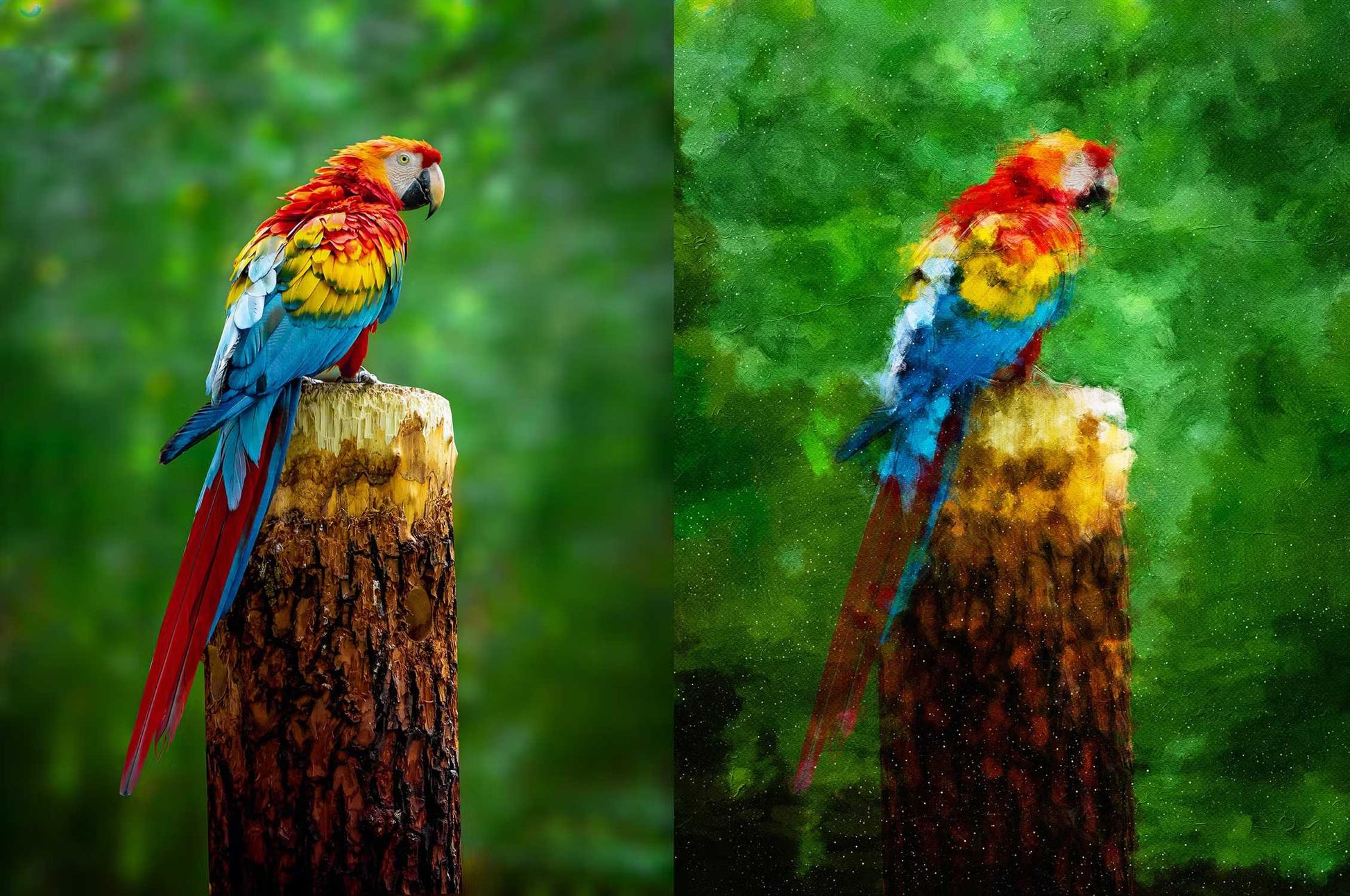 27 Incredible Photoshop Actions Bundle - Photoboto