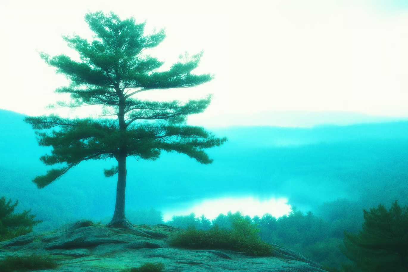 23 Expressive Photoshop Effects Bundle - Photoboto