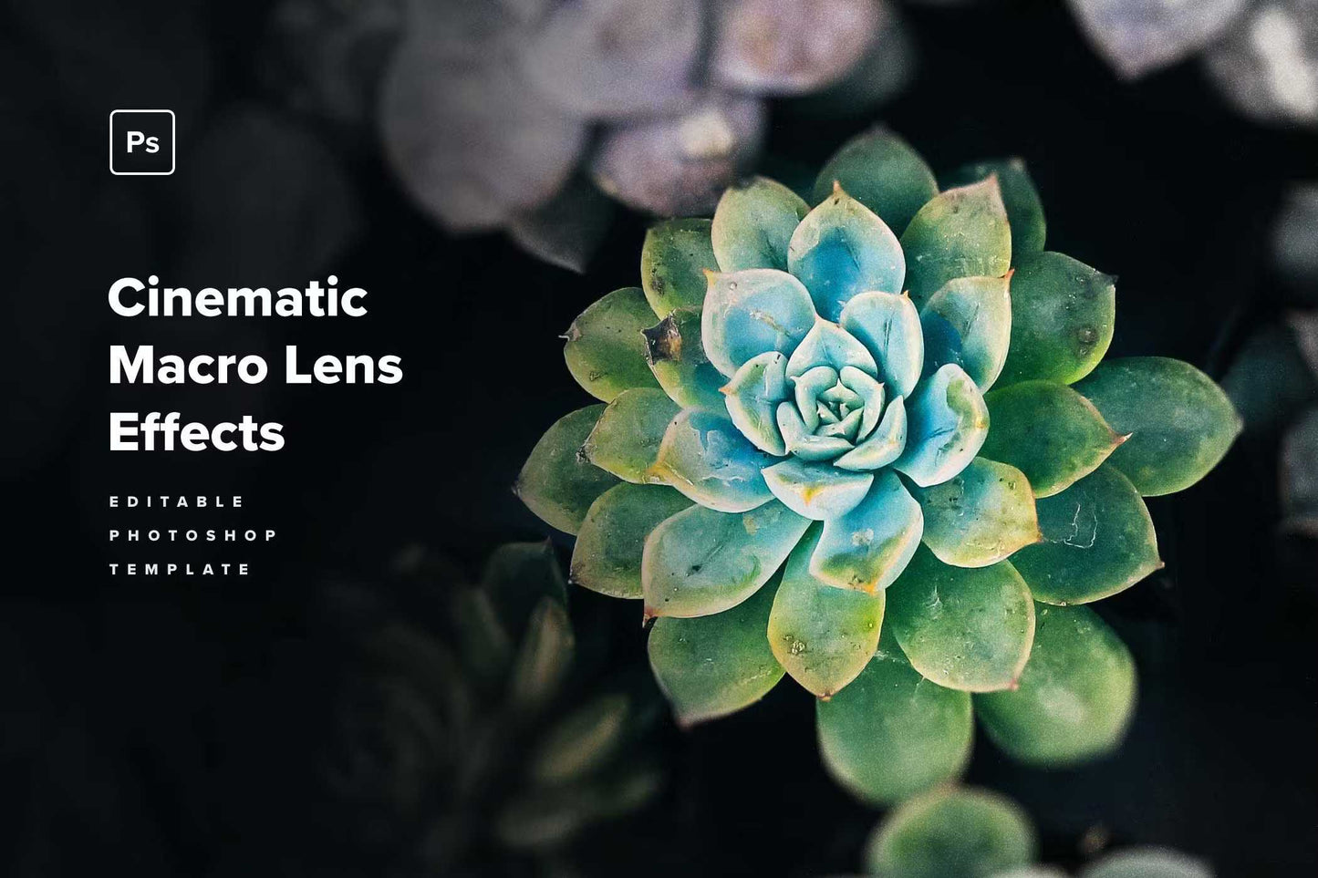 24 Splendiferous Photoshop Templates Bundle - Photoboto