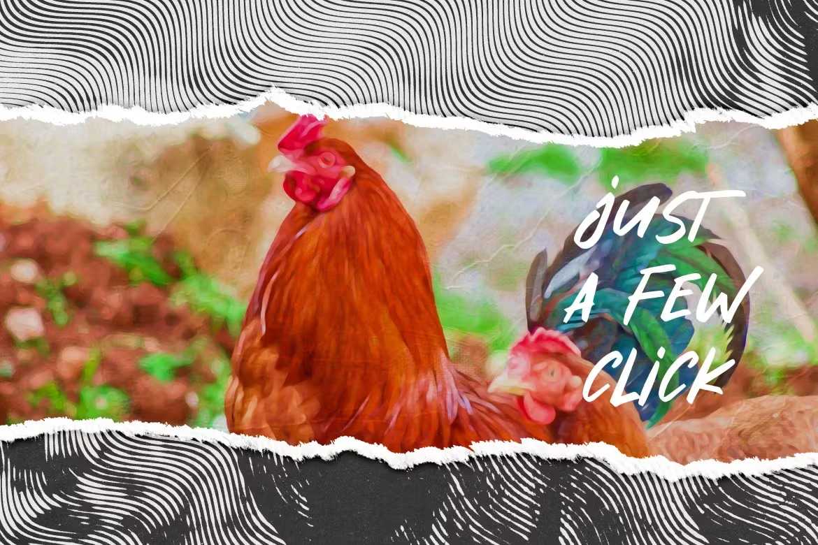 34 Torn Paper Photoshop Templates Bundle - Photoboto