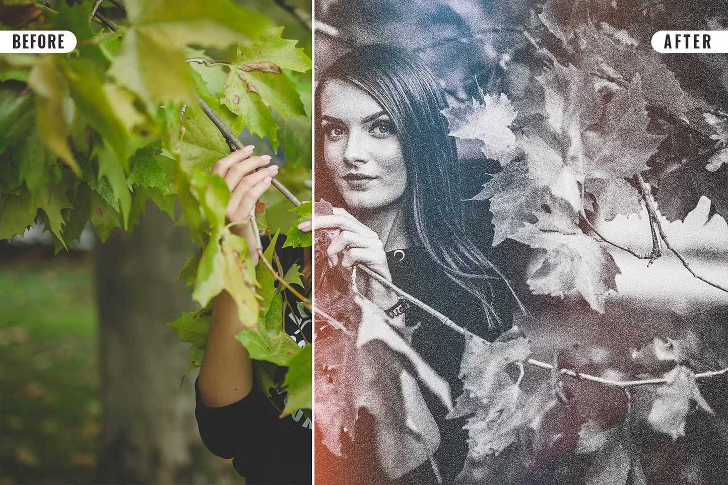 20-In-1 Elite Photoshop Effects Bundle - Photoboto