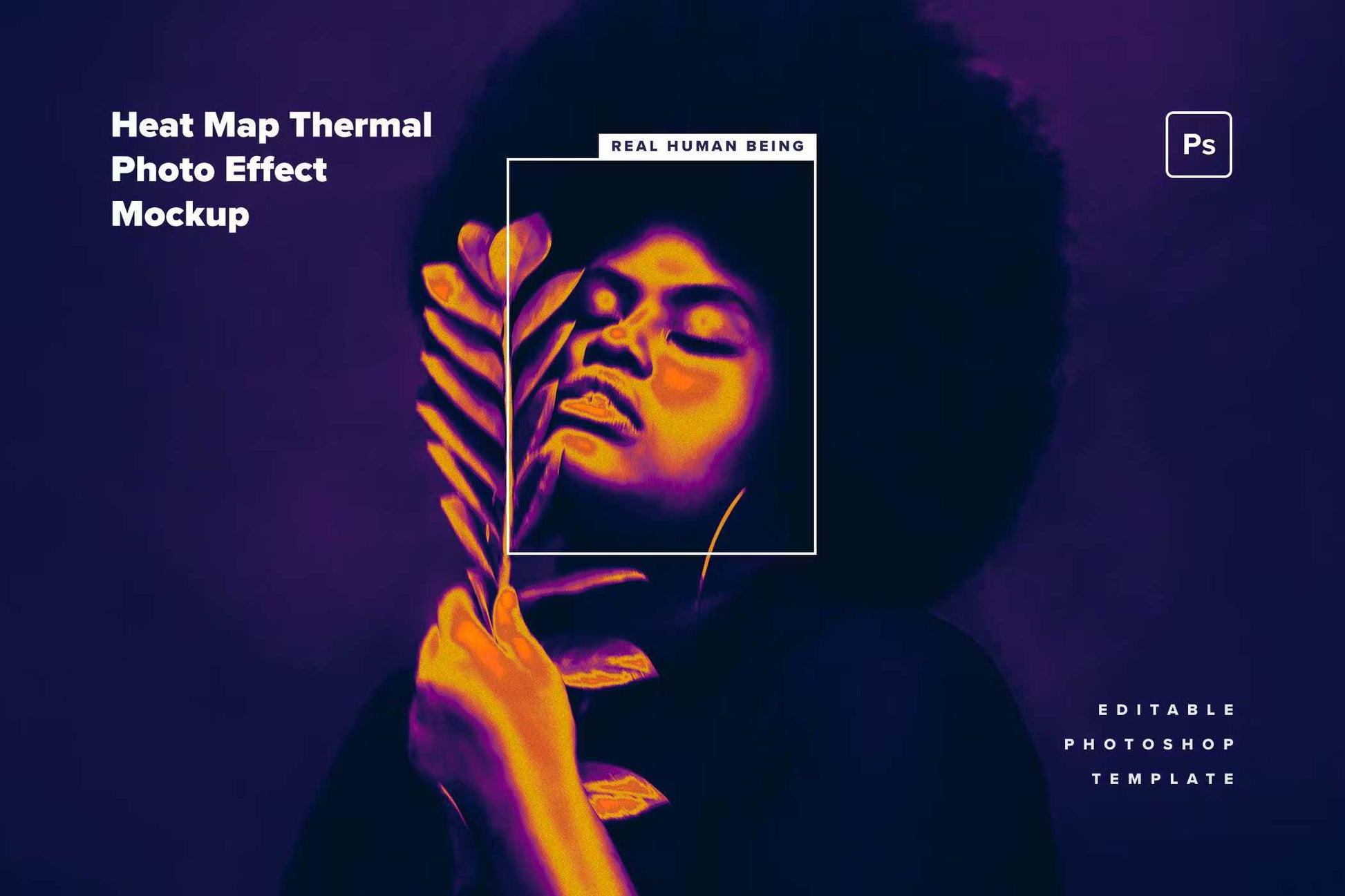 24 Splendiferous Photoshop Templates Bundle - Photoboto