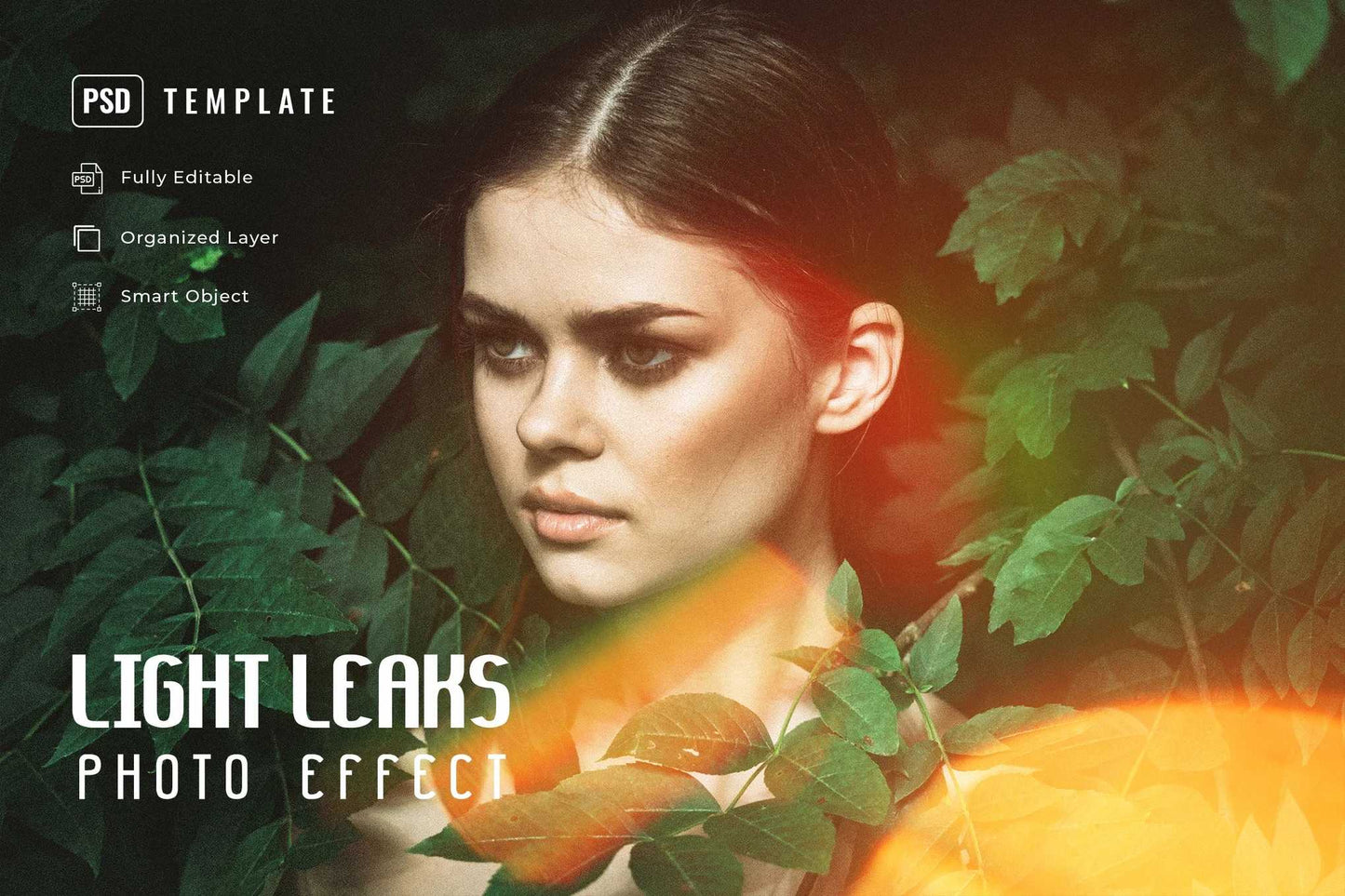 The Luxe Collection Of 22 Photoshop Templates - Photoboto