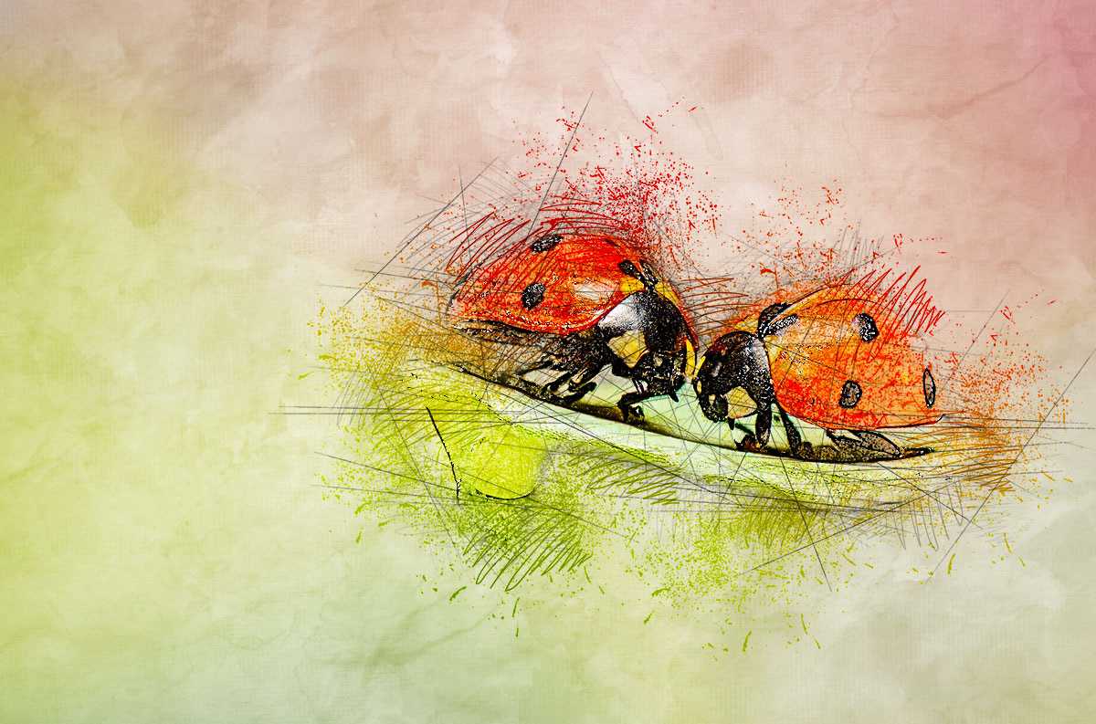 17 Power-Packed Photoshop Actions Bundle - Photoboto