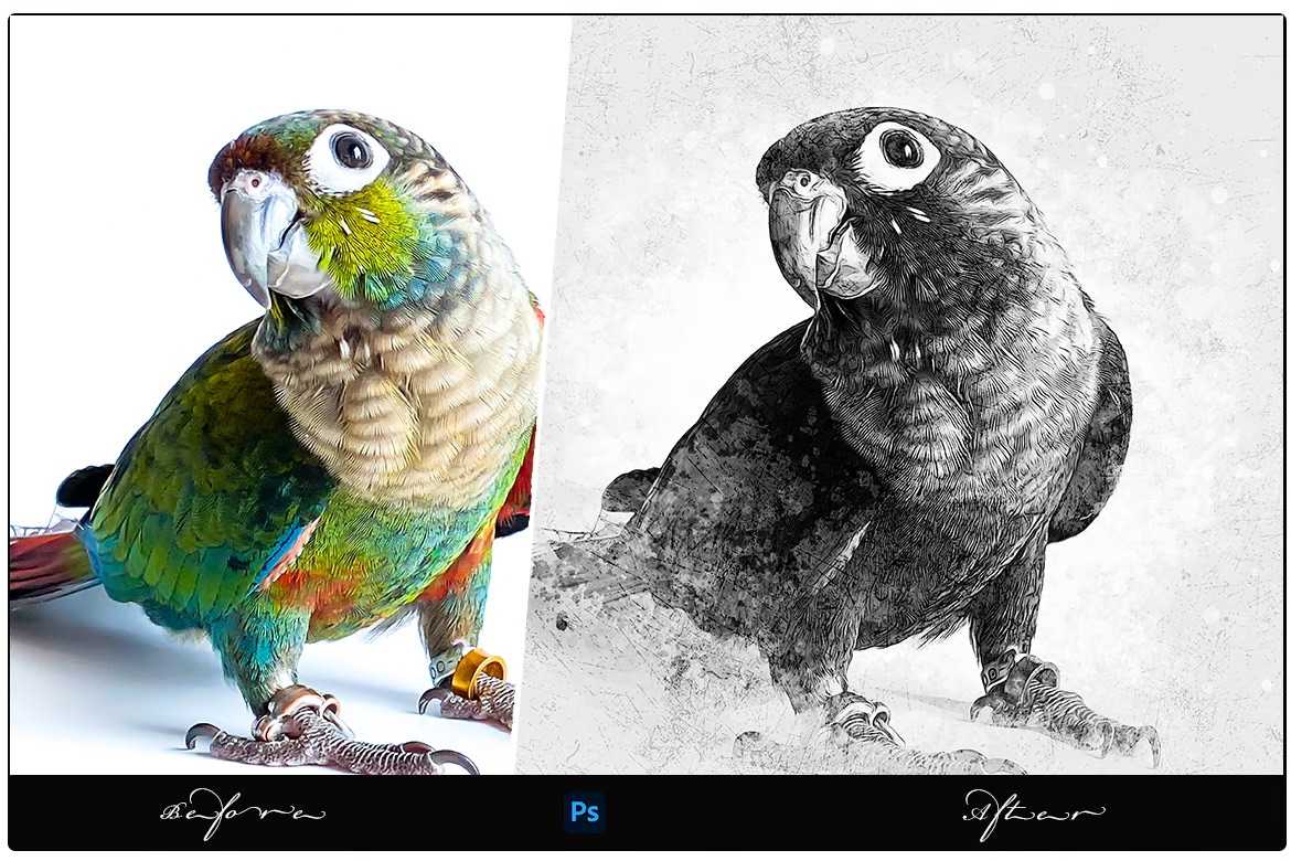 19-In-1 Snazzy Photoshop Add-Ons Bundle - Photoboto