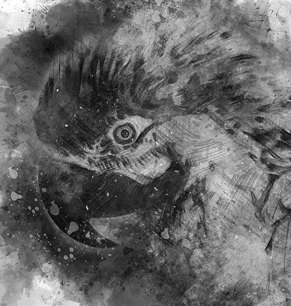 The Pinnacle Bundle Of 17 Photoshop Actions - Photoboto