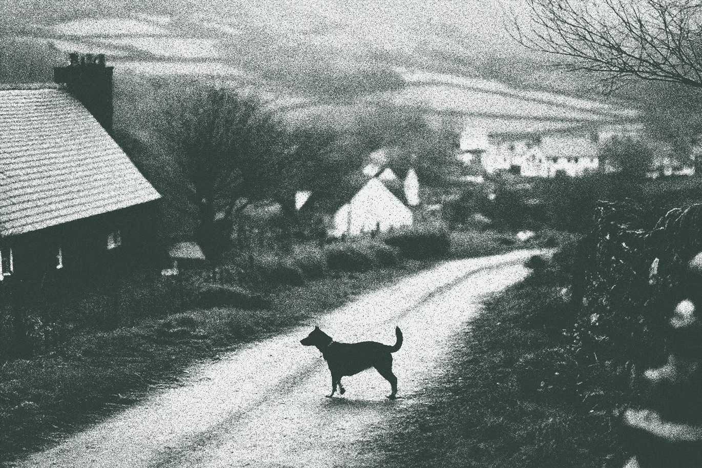 22 Action-Packed Photoshop Effects Bundle - Photoboto