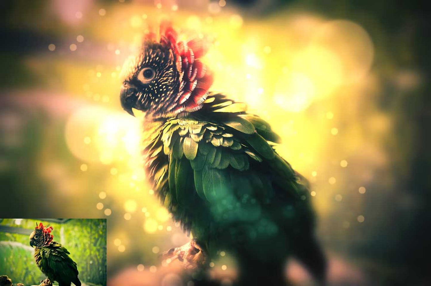 19 Fantastic Photoshop Actions Bundle - Photoboto