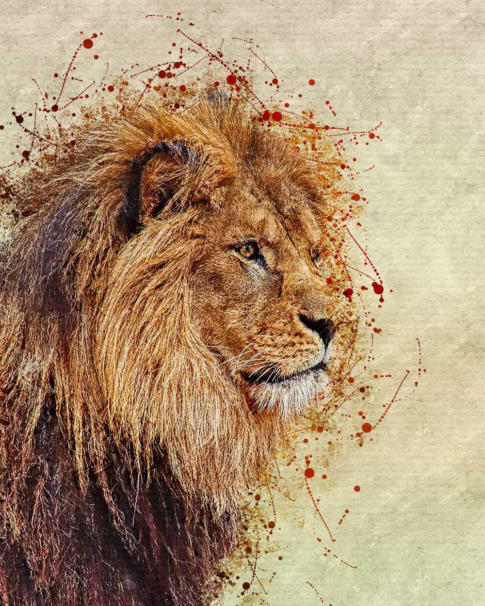 17 Power-Packed Photoshop Actions Bundle - Photoboto