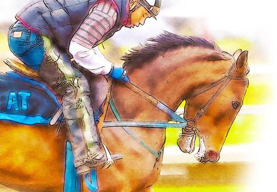 The Visionary Bundle Of 23 Photoshop Add-Ons - Photoboto