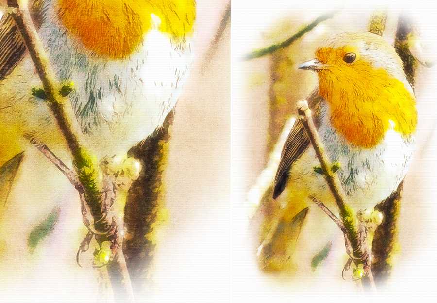 The Visionary Bundle Of 23 Photoshop Add-Ons - Photoboto