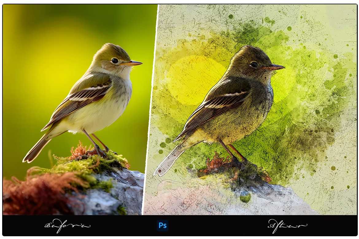 19-In-1 Snazzy Photoshop Add-Ons Bundle - Photoboto