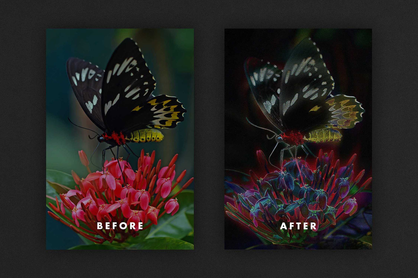 The Splendid Bundle Of 28 Poster + Portrait Effects - Photoboto