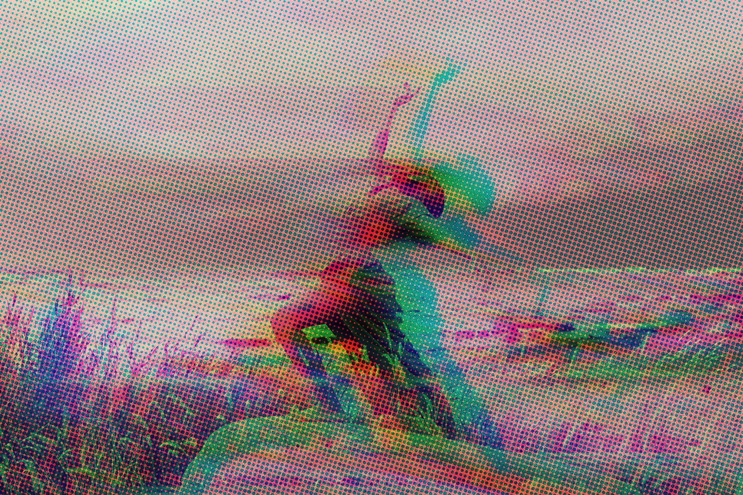 The Splendid Bundle Of 28 Poster + Portrait Effects - Photoboto