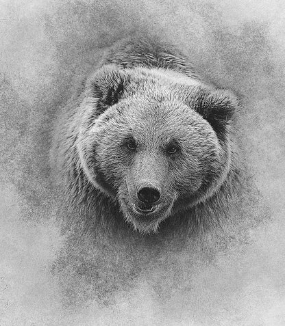 20 Enchanting Photoshop Add-Ons Bundle - Photoboto