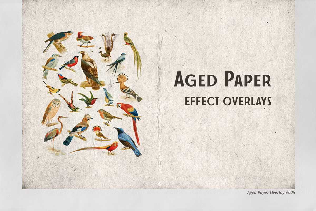 1300+ Supreme Photo Overlays Gigapack