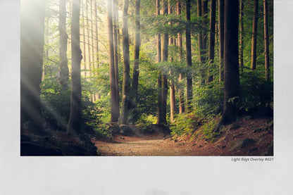 1300+ Supreme Photo Overlays Gigapack