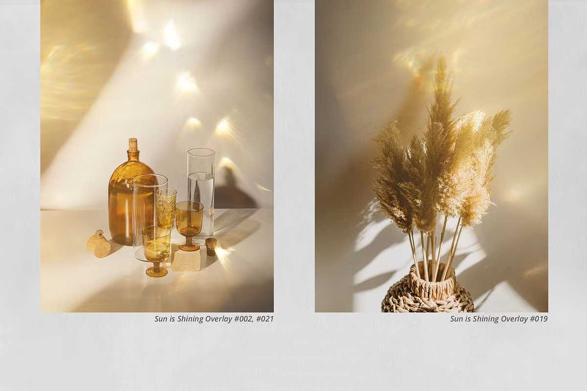 1300+ Supreme Photo Overlays Gigapack