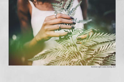 1300+ Supreme Photo Overlays Gigapack