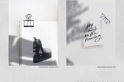 1300+ Supreme Photo Overlays Gigapack