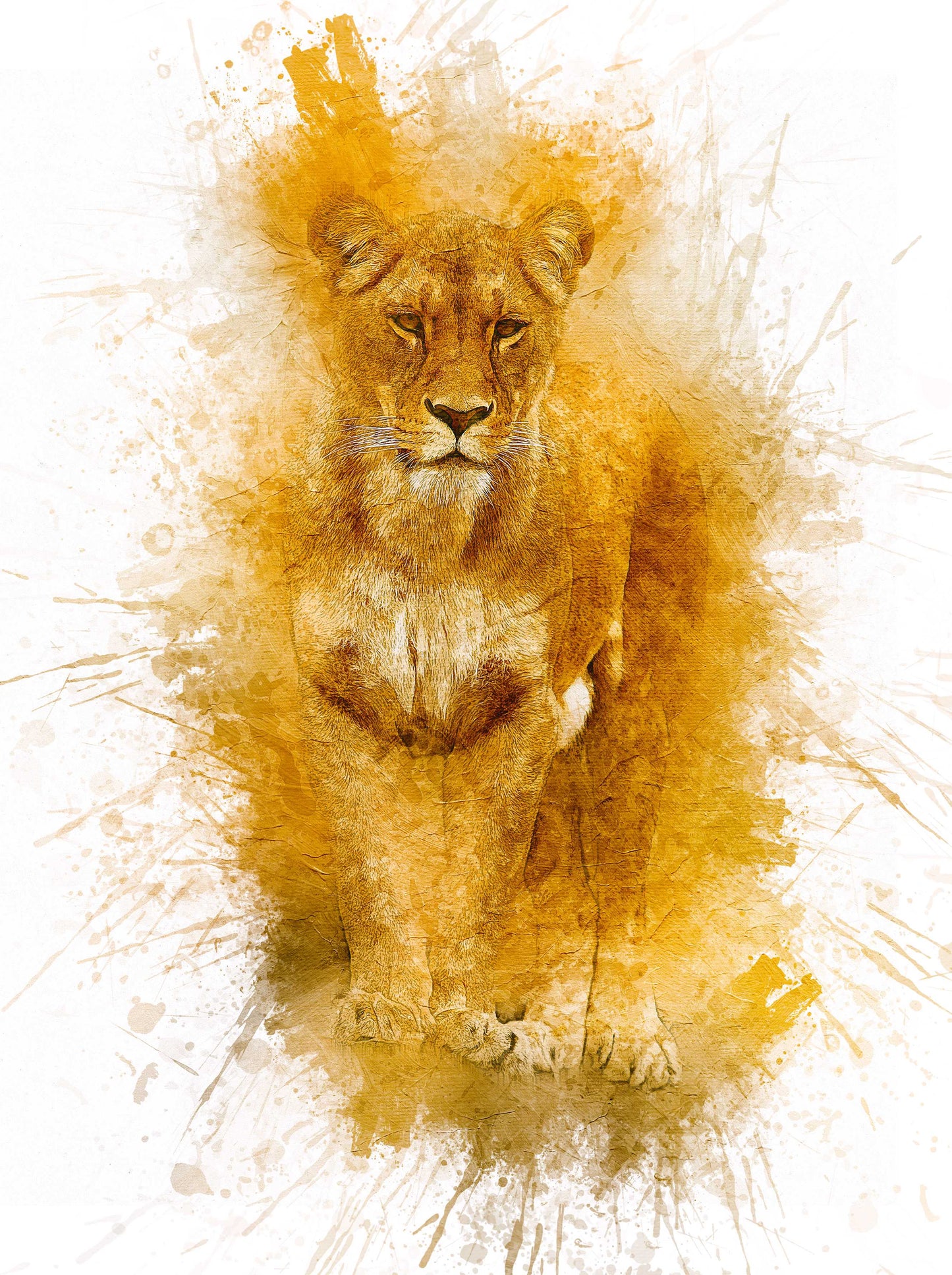 19 Studio-Grade Photoshop Actions Bundle