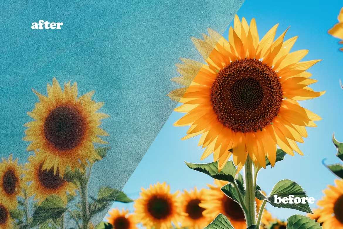 20 Professional Photoshop Templates Bundle - Photoboto