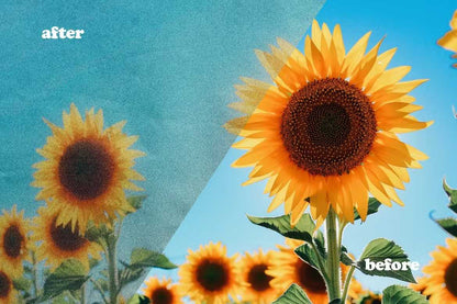 20 Professional Photoshop Templates Bundle - Photoboto