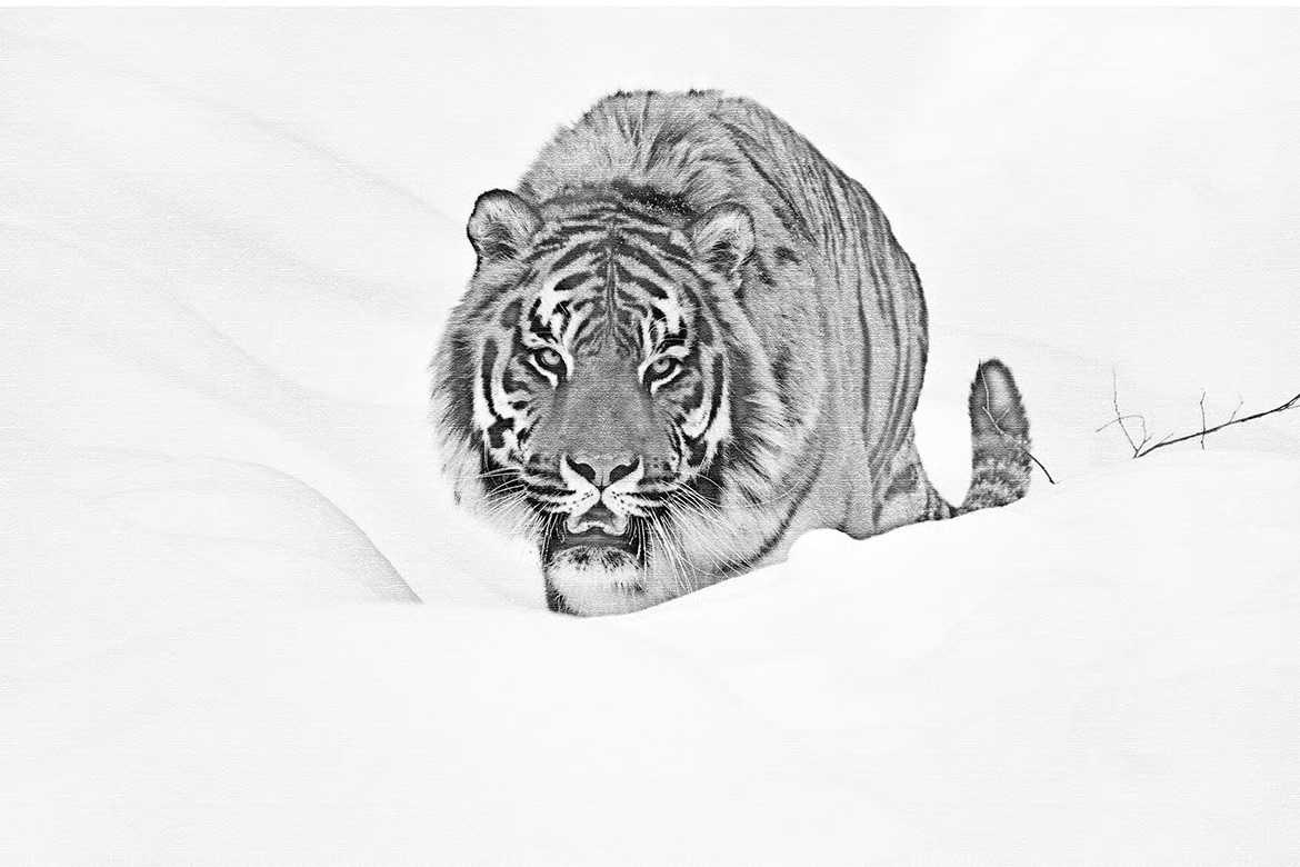 20 Ultimate Artisan Photoshop Effects Bundle