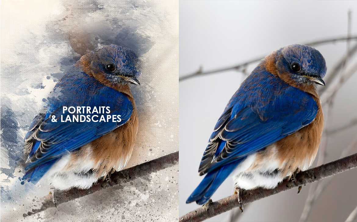 The Power Bundle Of 17 Photoshop Add-Ons - Photoboto