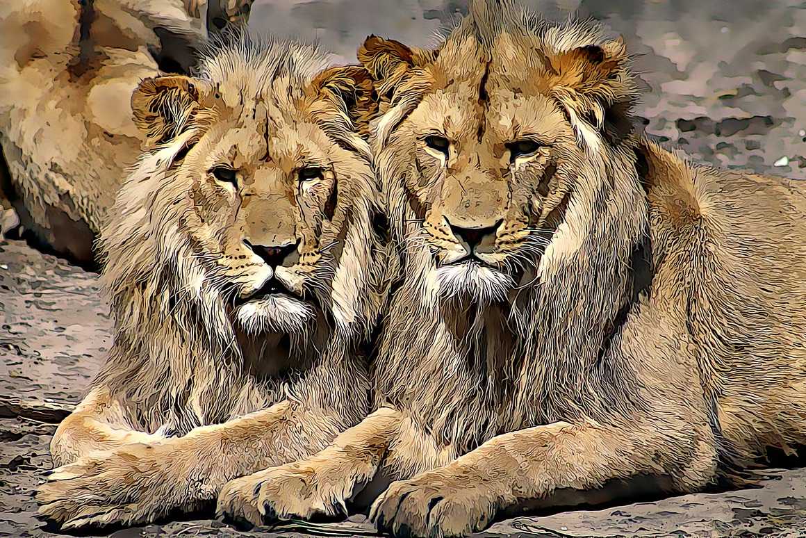 25-In-1 Bespoke Photoshop Actions Designer Set