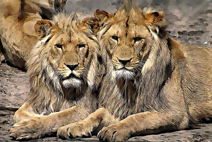 25-In-1 Bespoke Photoshop Actions Designer Set