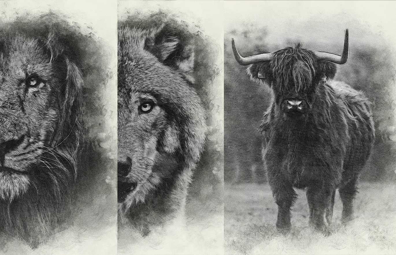 The Master Collection Of 25 Photoshop Templates - Photoboto