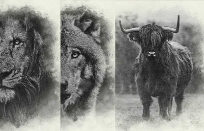 The Master Collection Of 25 Photoshop Templates - Photoboto