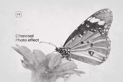 The Signature Bundle Of 23 Photoshop Effects - Photoboto