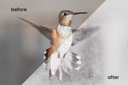 The Signature Bundle Of 23 Photoshop Effects - Photoboto
