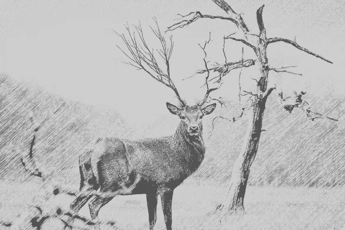 29 Classic Halftone Photoshop Effects - Photoboto