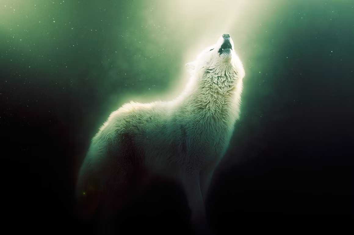 22 Designer-Grade Photoshop Actions Kit