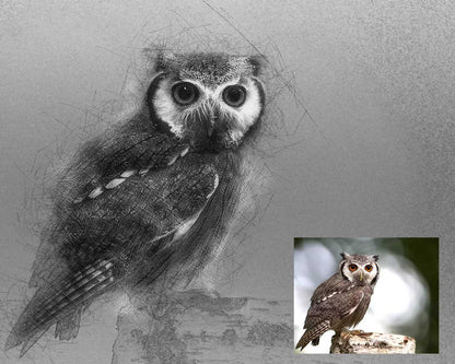 19 Fantastic Photoshop Actions Bundle - Photoboto