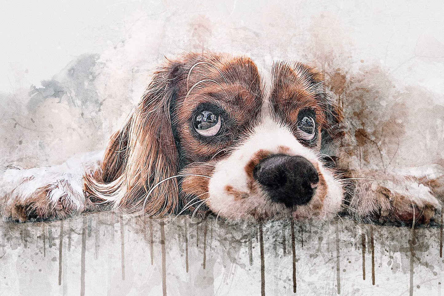 19 Studio-Grade Photoshop Actions Bundle