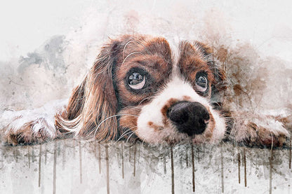 19 Studio-Grade Photoshop Actions Bundle