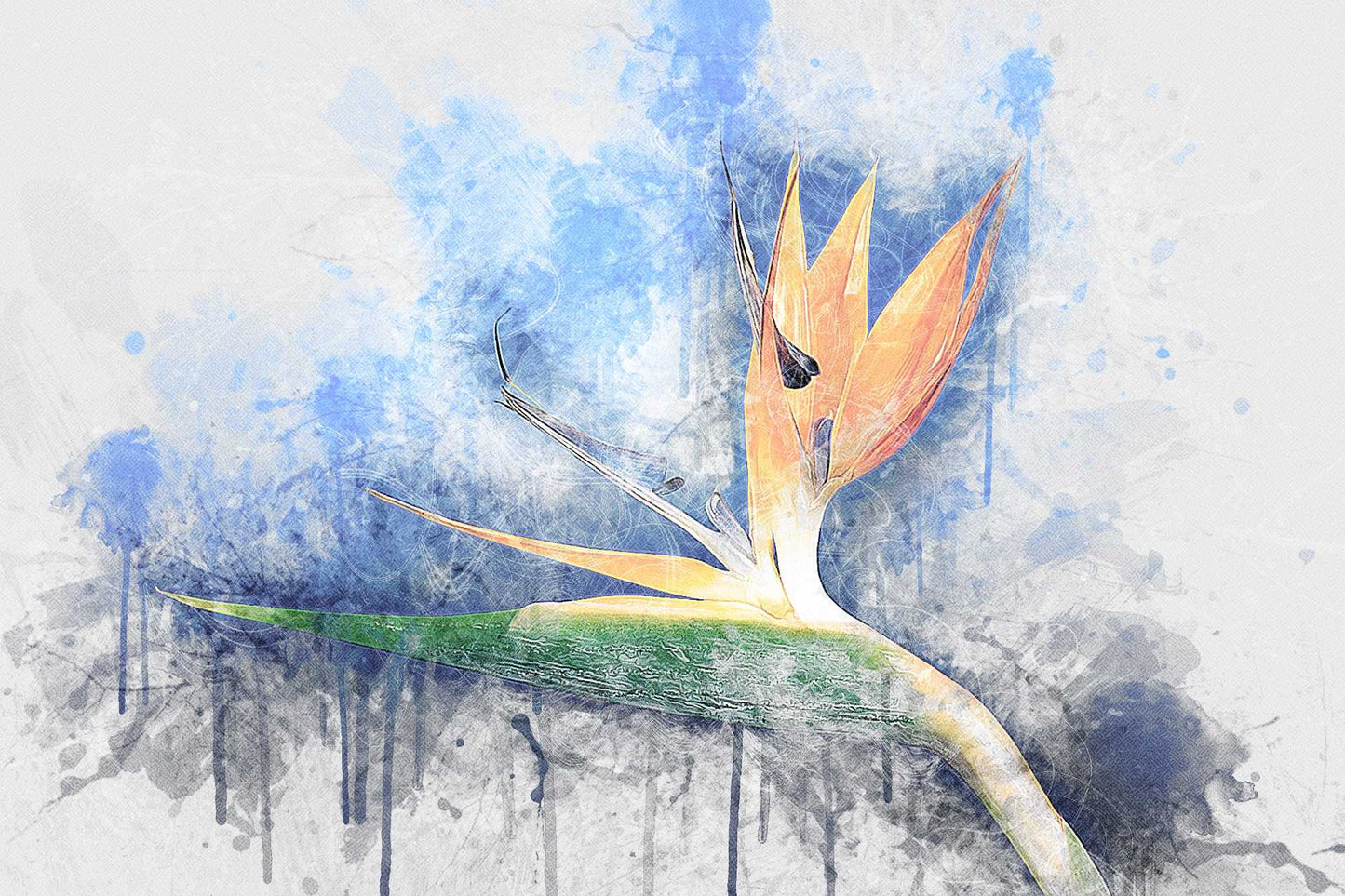 19 Studio-Grade Photoshop Actions Bundle