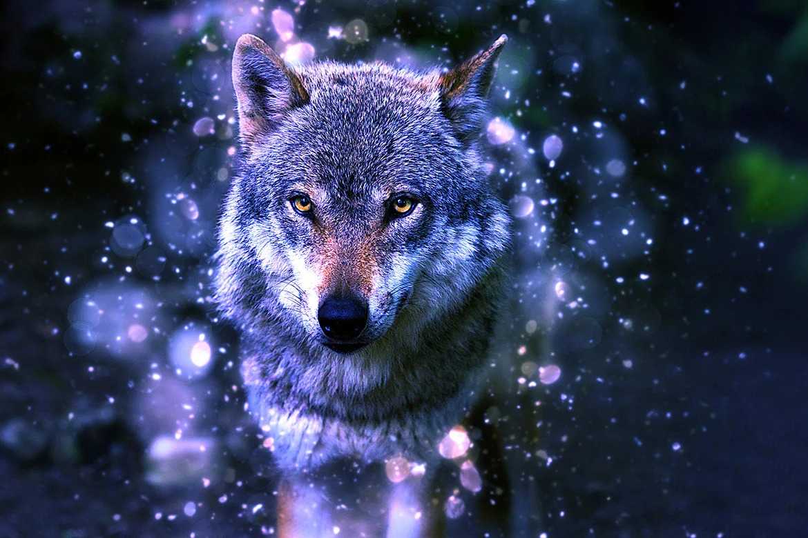 20 Magical Photoshop Actions Bundle - Photoboto