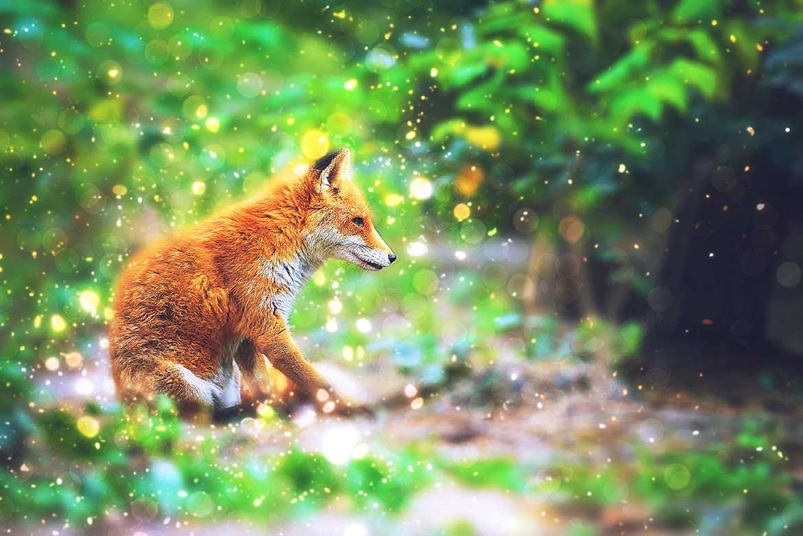 20 Magical Photoshop Actions Bundle - Photoboto