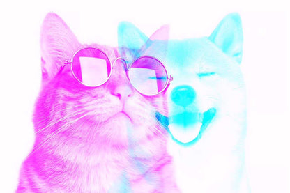 21 Custom FX Photoshop Templates Bundle