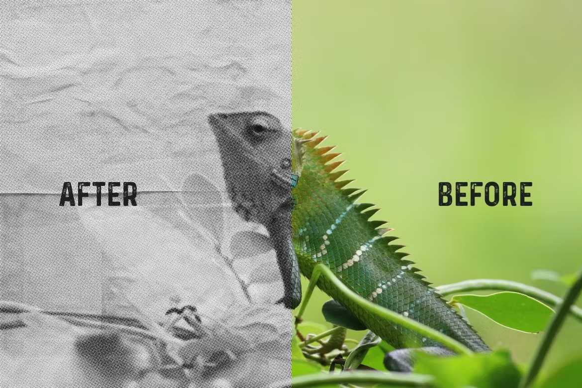 29 Classic Halftone Photoshop Effects - Photoboto