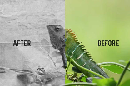 29 Classic Halftone Photoshop Effects - Photoboto