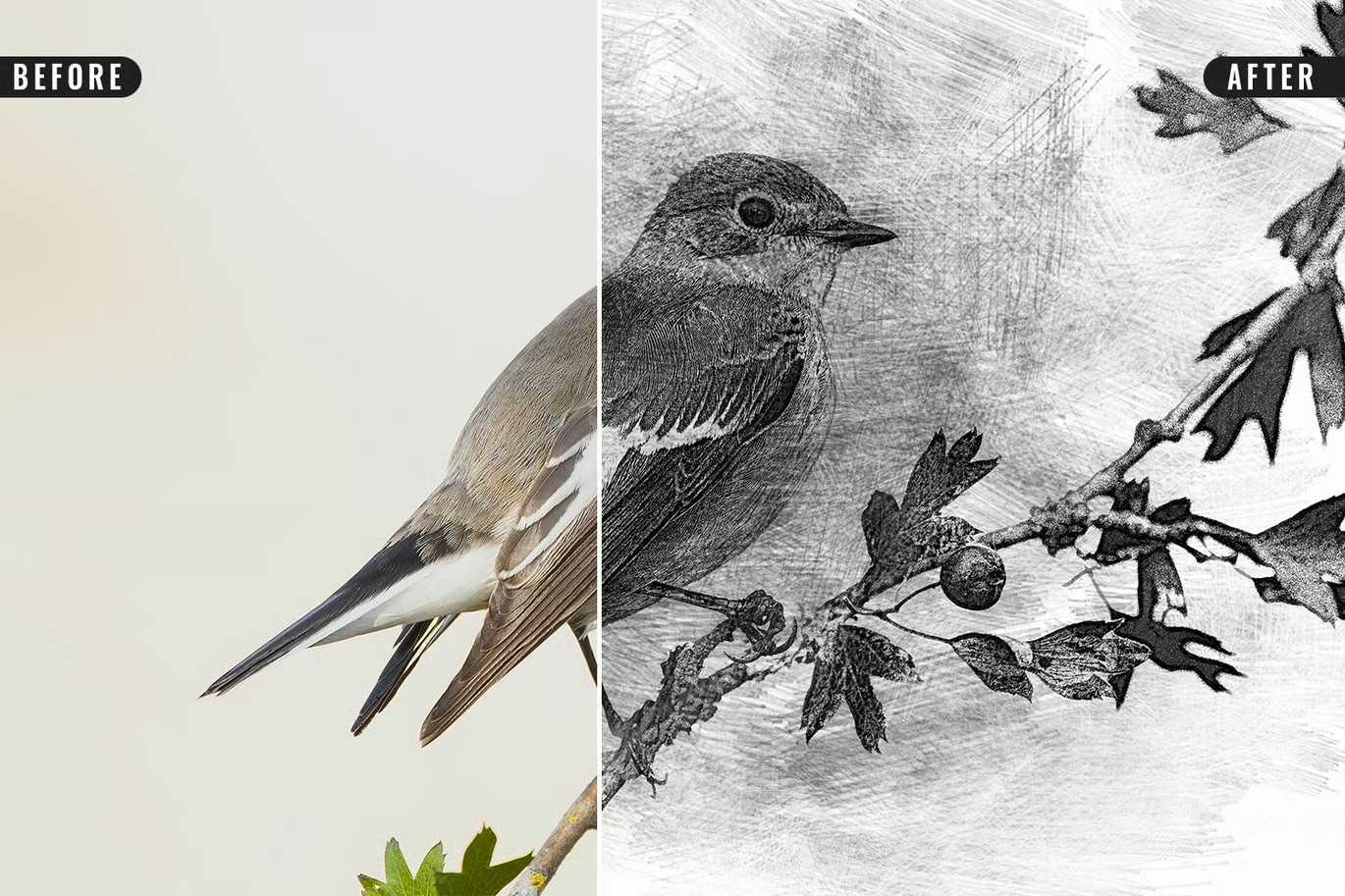 26 Digital Sketch Photoshop Effects Toolkit