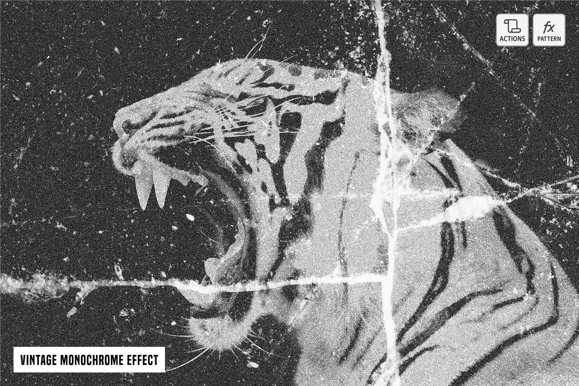 The Luminary Bundle Of 21 Photoshop Actions - Photoboto