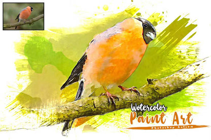 21-In-1 Trendsetting Photoshop Actions Collection